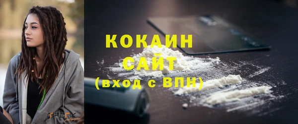спиды Гусев