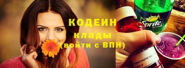 спиды Гусев